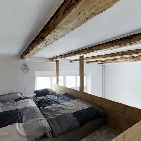 아파트 Old Town Loft 질리나