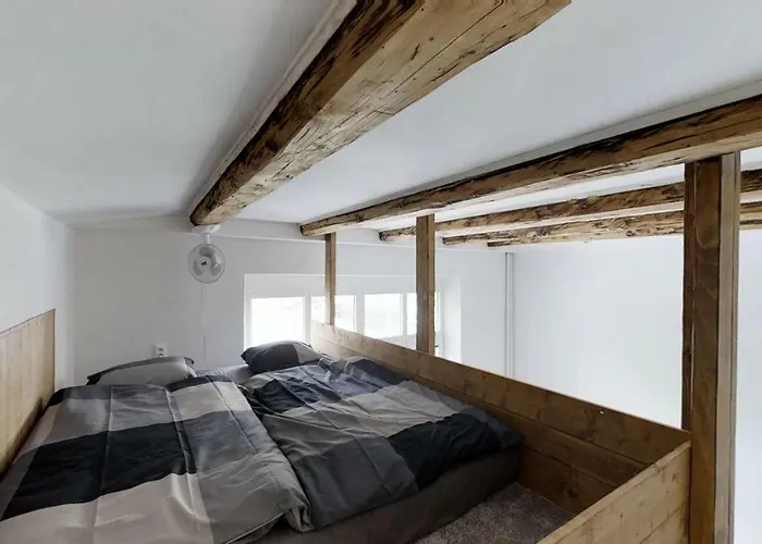 דירה Old Town Loft ז'ילינה